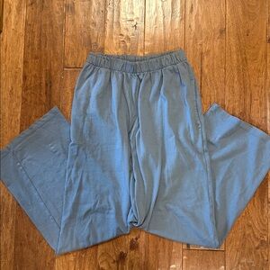 Brandy Melville Slate Blue Pants